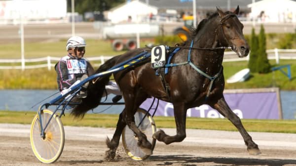 Foto: MICKE GUSTAFSSON/ALN