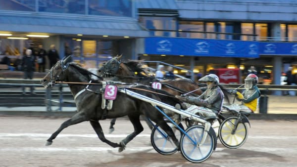 Foto: Annika Niklasson/Sidmakarn