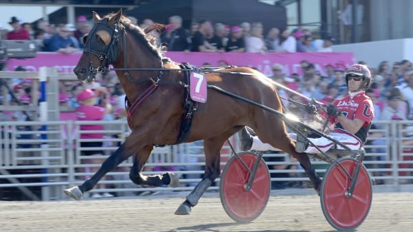 Foto: LARS JAKOBSSON/TR BILD