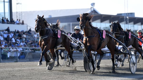 Foto: MALIN ALBINSSON / TR BILD