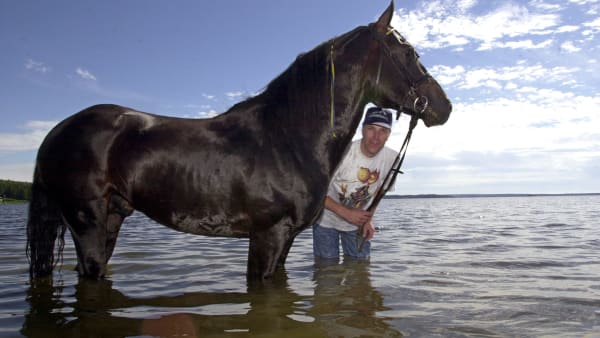 Foto: THOMAS BLOMQVIST / TR BILD