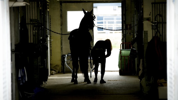 Foto: THOMAS BLOMQVIST / TR BILD