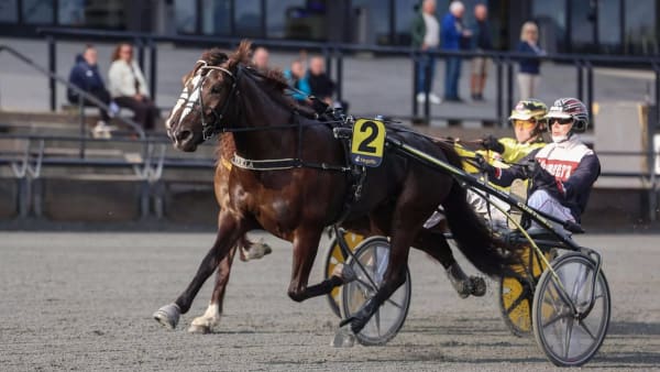 Foto: TROND PEDERSEN/HESTEGUIDEN