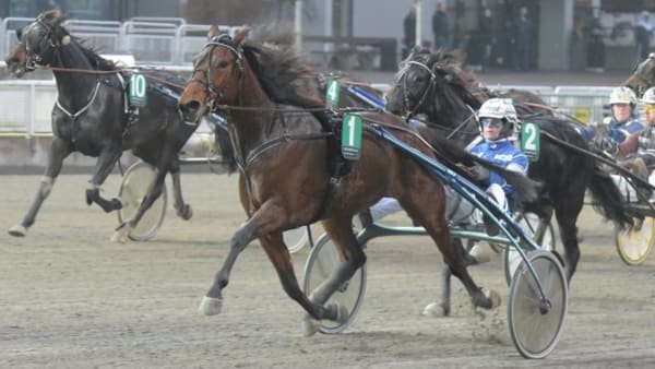 Foto: LEIF NORBERG/ALN