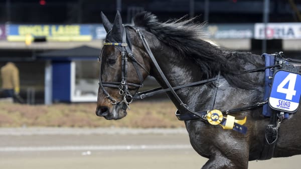 Foto: LARS JAKOBSSON / TR BILD