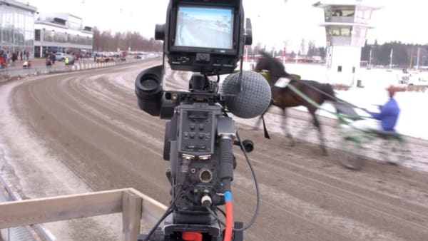 Foto: MATS HANSSON/ALN