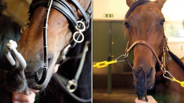 Foto: Anna Gerdmarker/Thomas Blomqvist/TR