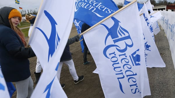 Foto: MARIA HOLMÉN / TR BILD