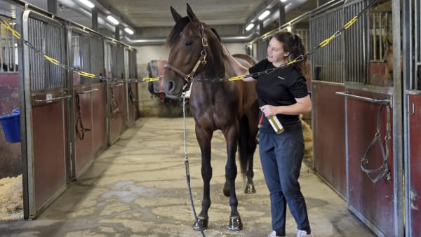 Foto: LARS JAKOBSSON / TR BILD