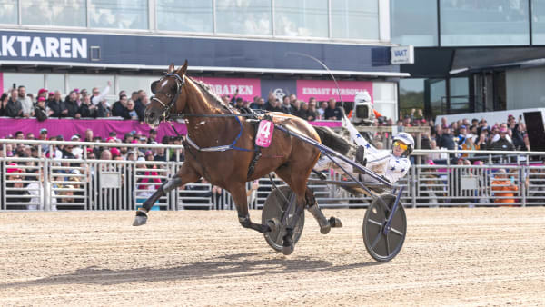 Foto: LENA EMMOTH / TR BILD