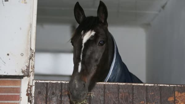 Foto: JEANNIE KARLSSON