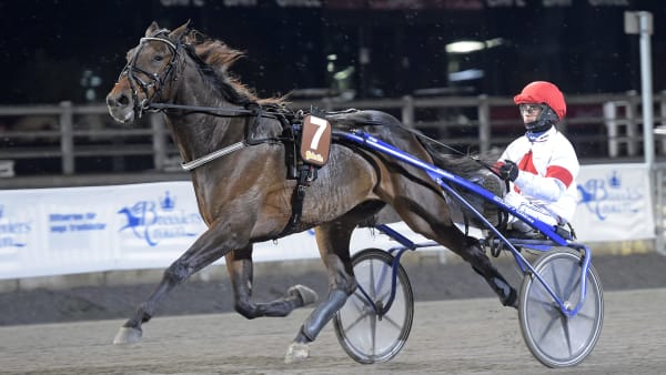 Foto: LARS JAKOBSSON / TR BILD