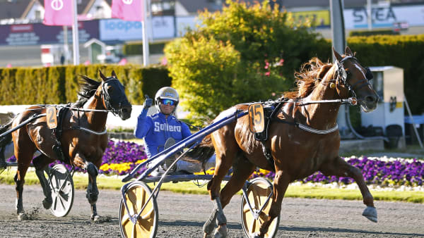 Foto: MARIA HOLMÉN / TR BILD