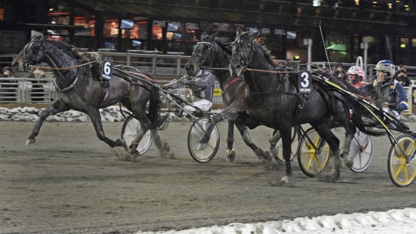 Foto: Leif Norberg/ALN