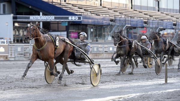 Foto: LARS JAKOBSSON / TR BILD