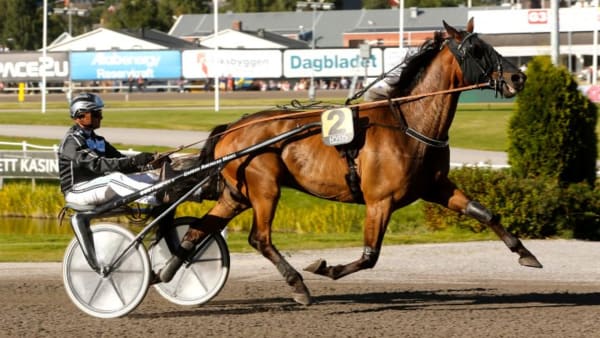 Foto: MICKE GUSTAFSSON/ALN