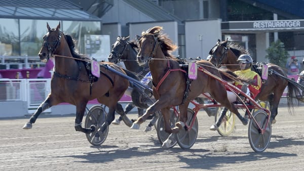 Foto: LARS JAKOBSSON / TR BILD