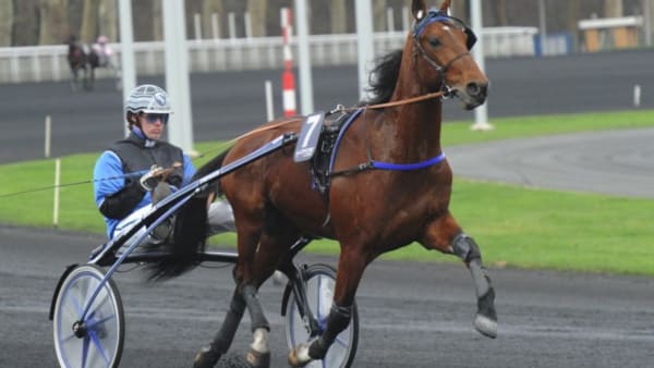 Foto: STEFAN MELANDER/STALLTZ.SE