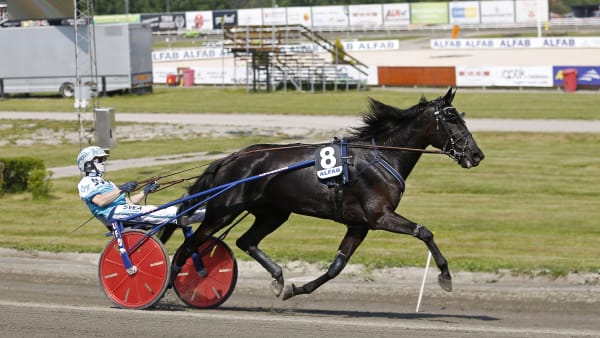 Foto: MARIA HOLMÉN / TR BILD