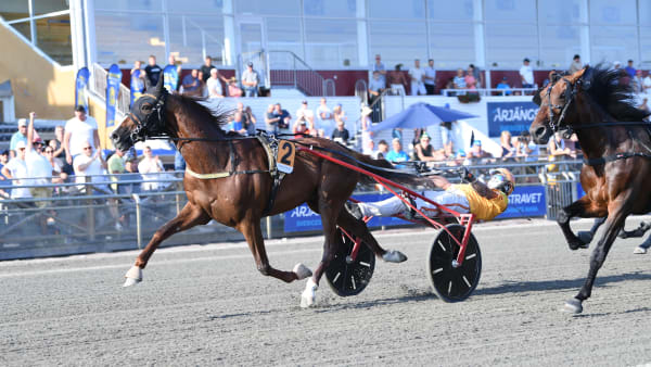 Foto: Malin Albinsson/TR Bild