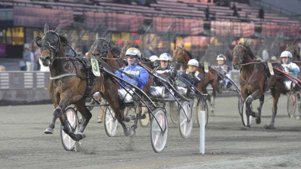 Foto: LARS JAKOBSSON/TR BILD