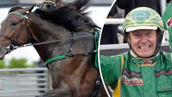 Foto: LARS JAKOBSSON/TR BILD