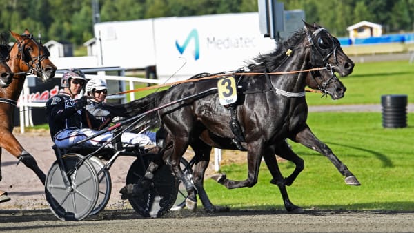 Foto: MALIN ALBINSSON / TR BILD