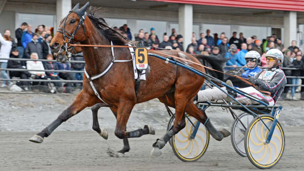 Foto: MALIN ALBINSSON/TR BILD