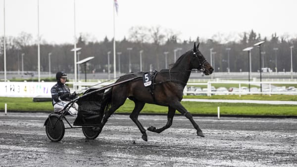 Foto: BRUNO VANDEVELDE/LE TROT