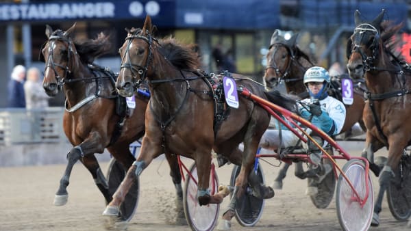 Foto: LARS JAKOBSSON / TR BILD
