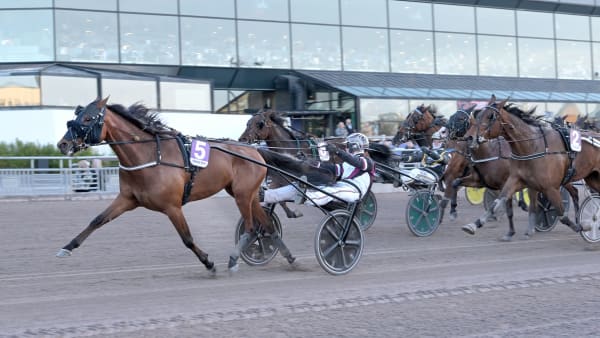 Foto: LARS JAKOBSSON / TR BILD