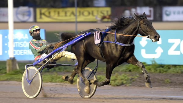 Foto: LARS JAKOBSSON / TR BILD