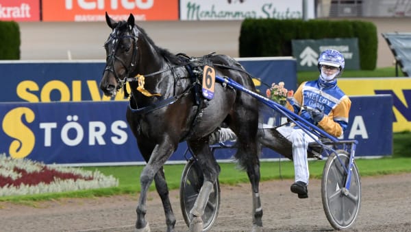 Foto: LARS JAKOBSSON / TR BILD