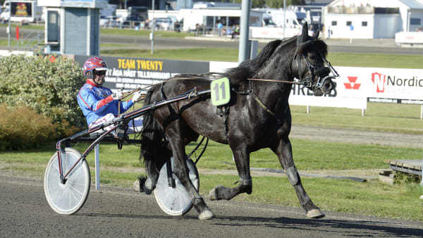 Foto: JEANNIE KARLSSON/KANAL 75