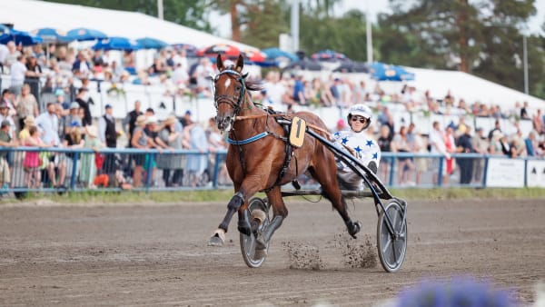 Foto: Kuvaaja Maisa Hyttinen/Suomen Hippos