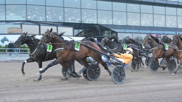 Foto: LARS JAKOBSSON / TR BILD