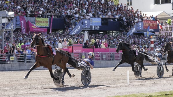 Foto: LENA EMMOTH / TR BILD