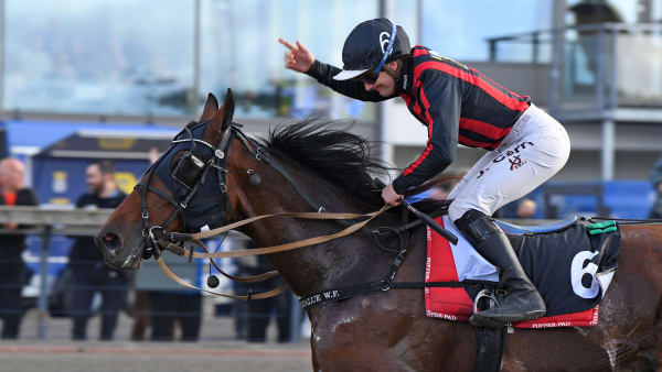 Foto: MALIN ALBINSSON / TR BILD