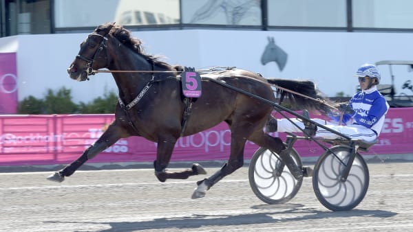 Foto: LARS JAKOBSSON / TR BILD