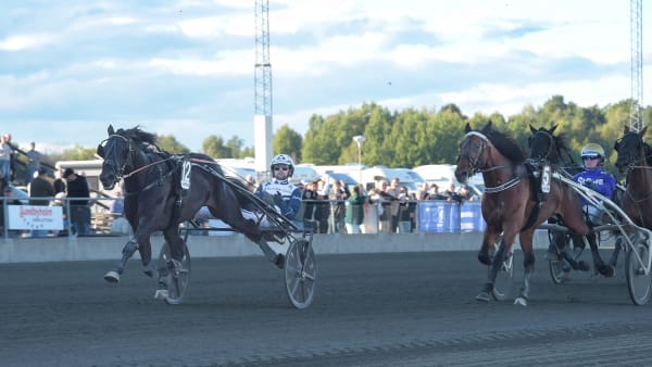 Foto: LARS JAKOBSSON / TR BILD