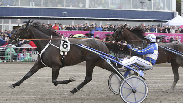 Foto: JEANNIE KARLSSON