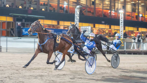 Foto: MIKAEL ROSENQUIST / TR BILD