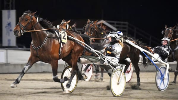 Foto: Martin Langels/ALN