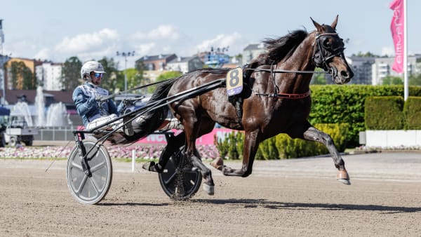 Foto: LENA EMMOTH / TR BILD