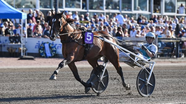 Foto: MALIN ALBINSSON / TR BILD