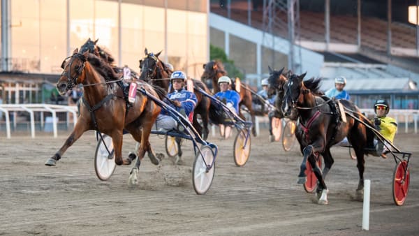 Foto: MIKAEL ROSENQUIST / TR BILD