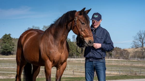 Foto: THOMAS BLOMQVIST / TR BILD