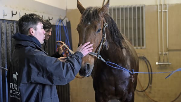 Foto: LARS JAKOBSSON / TR BILD