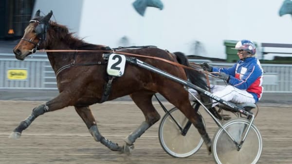 Foto: TOMMY ANDERSSON/ALN