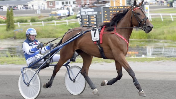 Foto: LARS JAKOBSSON / TR BILD